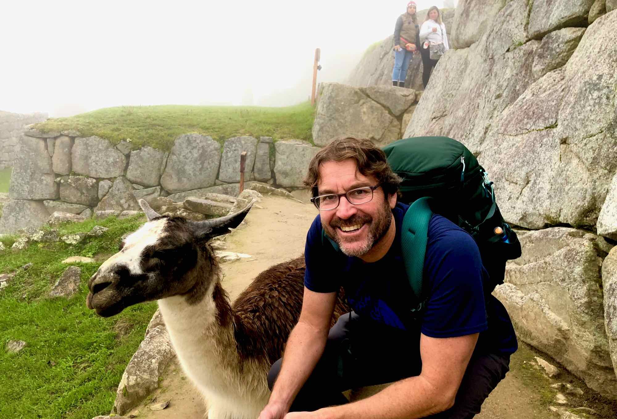 Llama Drama at Machu Picchu