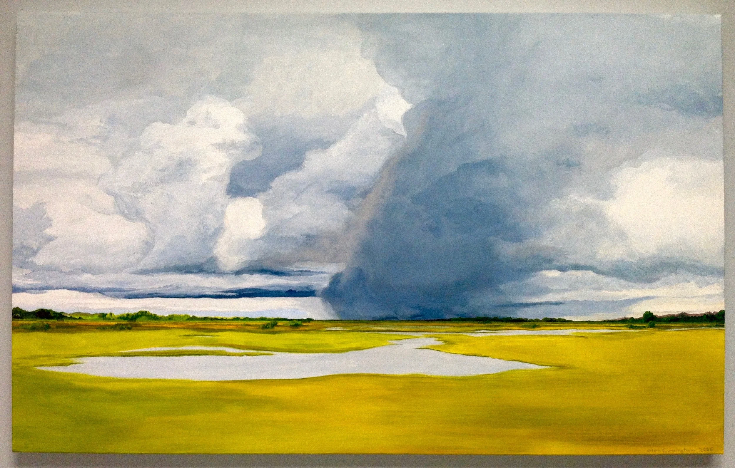 FLORIDA STORM FRONT , 2015, acrylic on canvas, 38 x 60