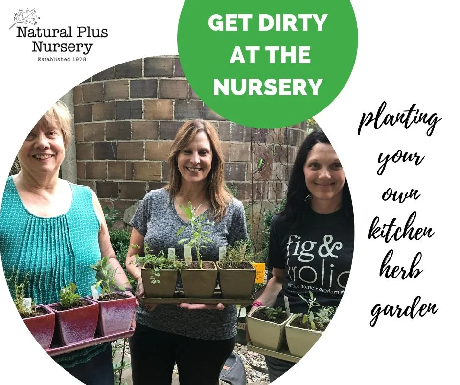 get dirty at the nursery (1).jpg