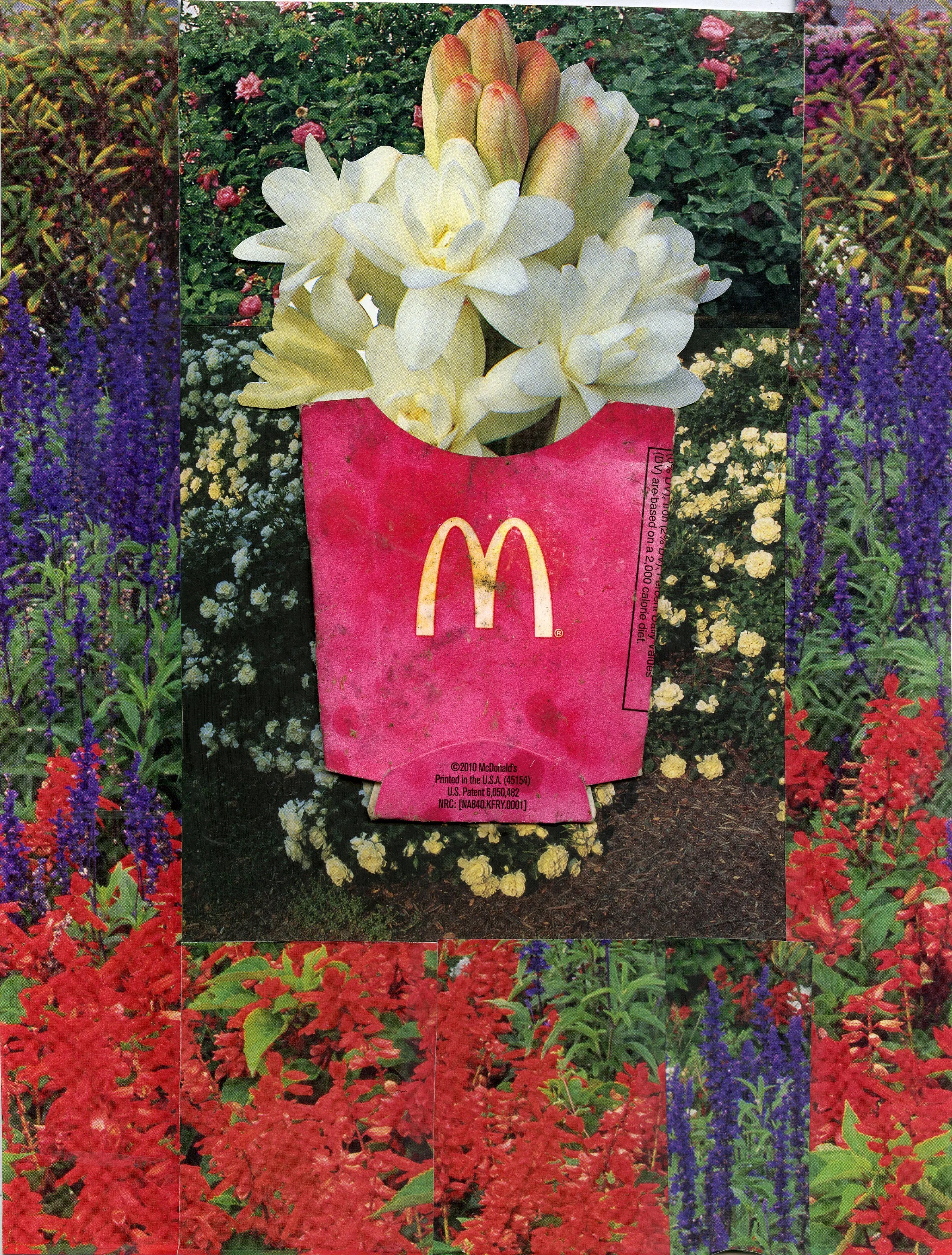 I Brought You Flowers