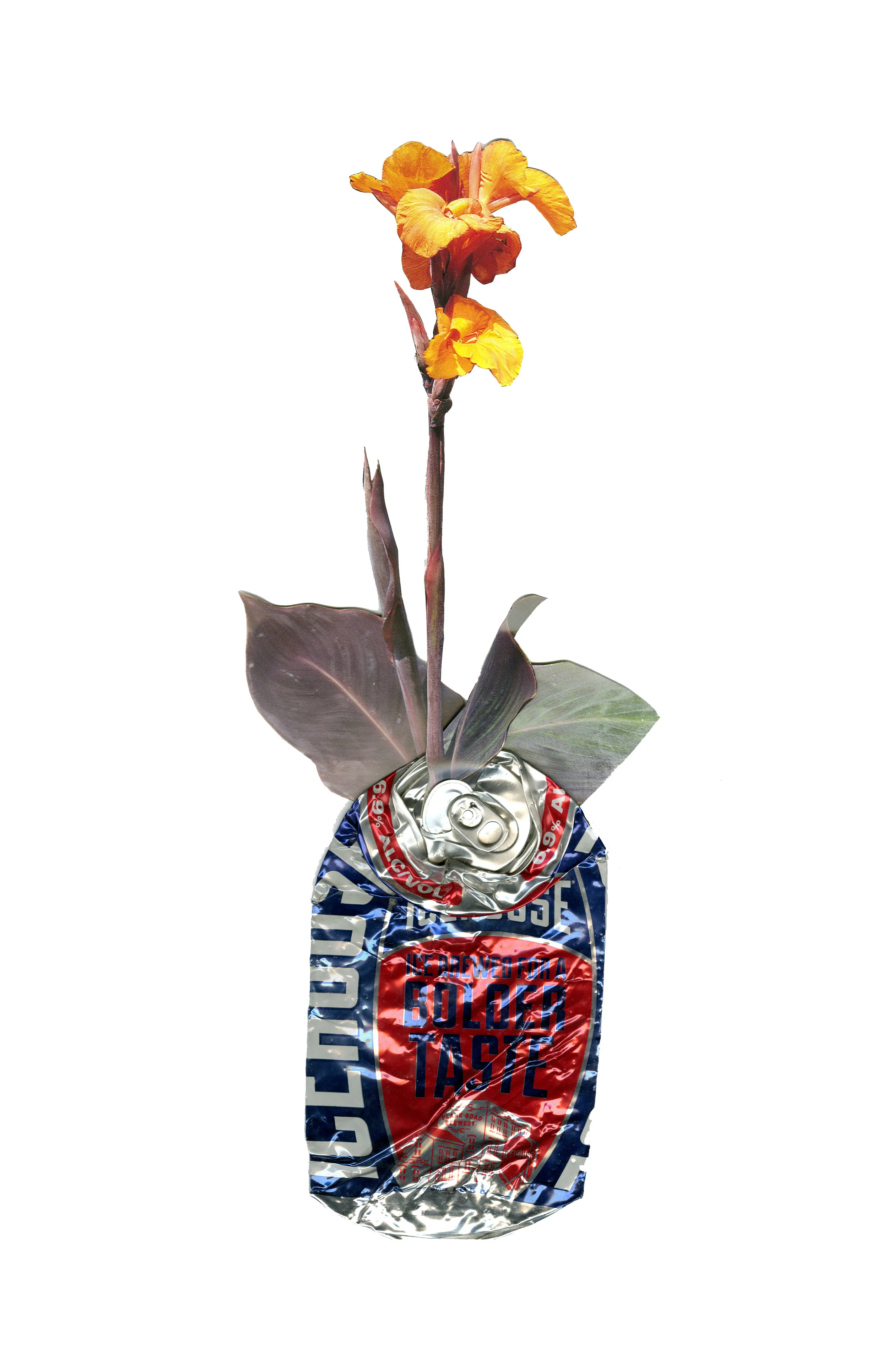 Bold and Floral