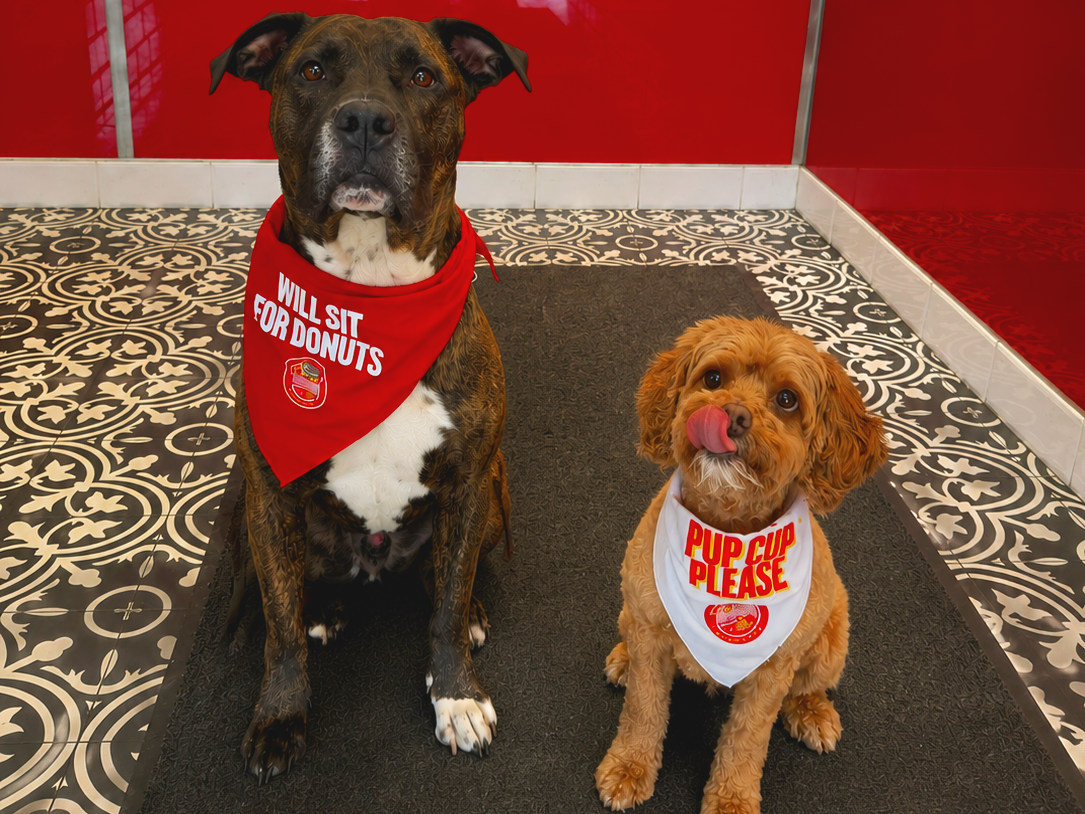 dogs.png