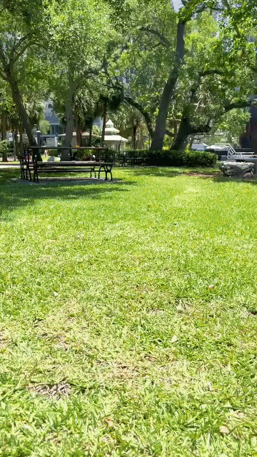 ezgif.com-video-to-gif-converter (9).gif