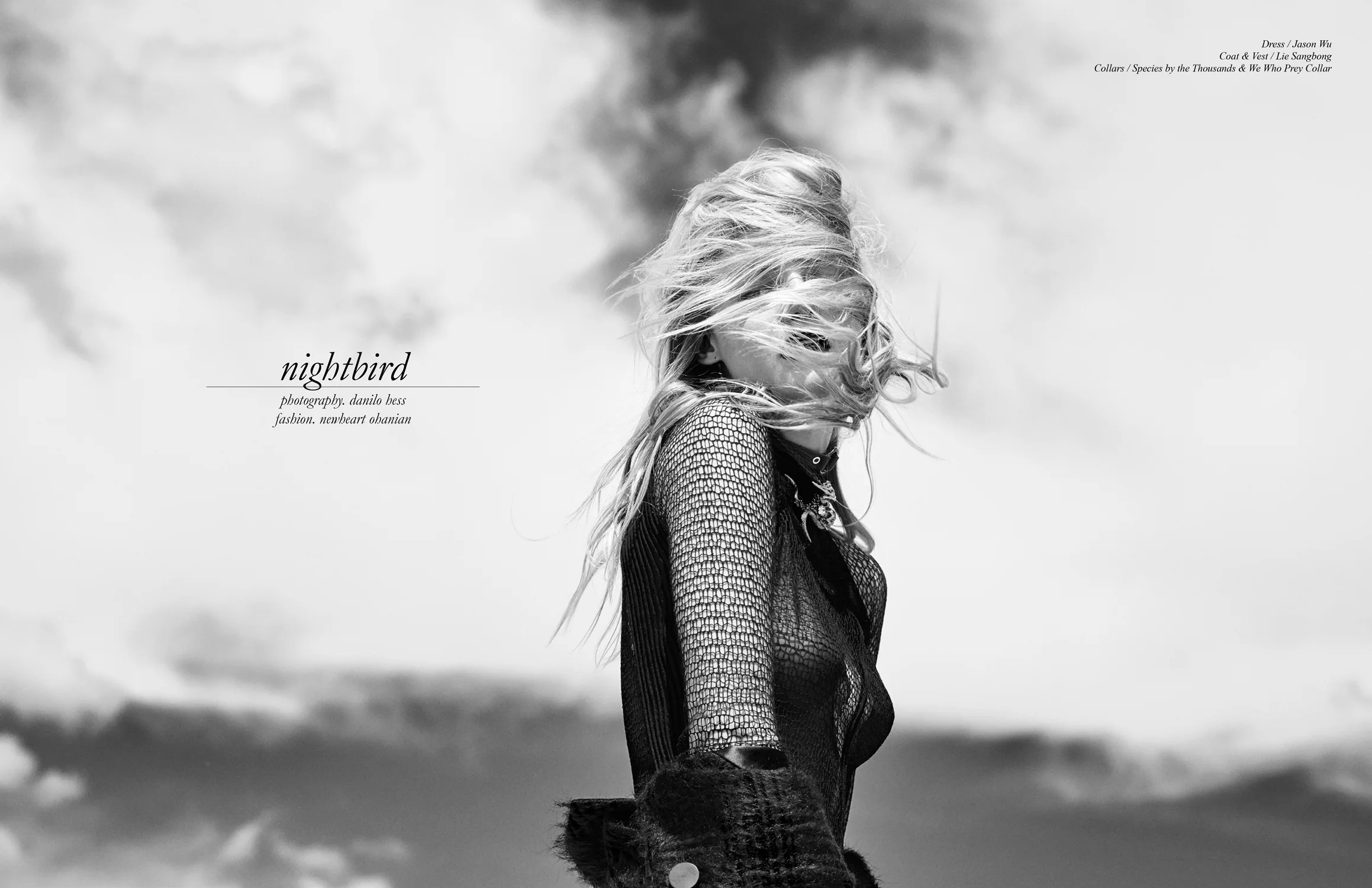 Schon_Magazine_Nightbird-1.jpg