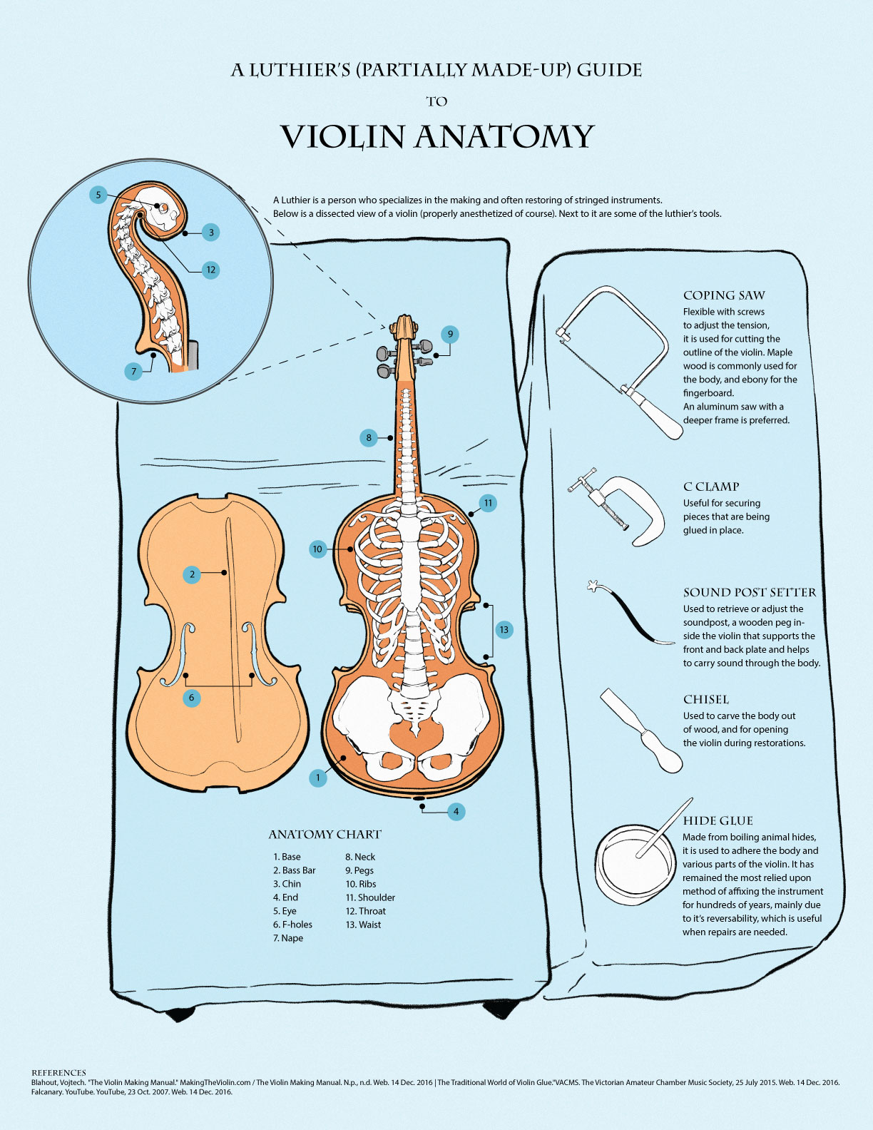 A Luthier's (partially made-up) Guide to Violin Anatomy