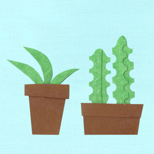 cacti.jpg