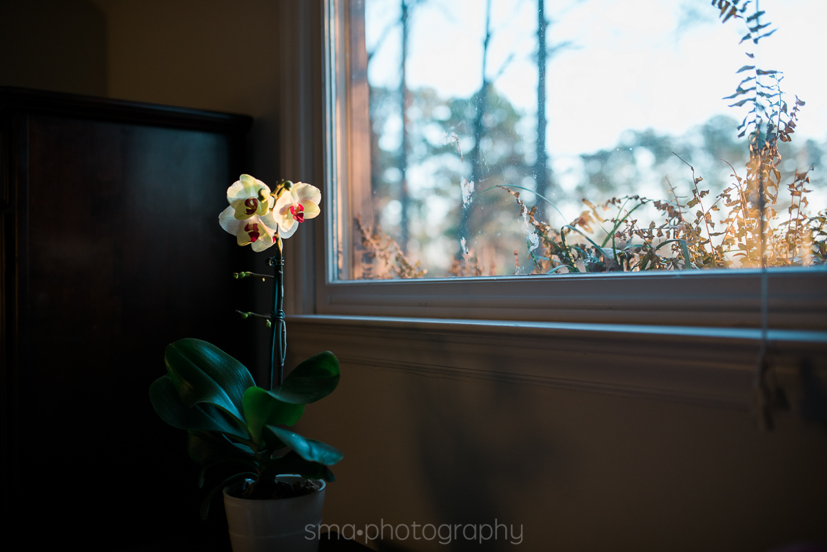 Albuquerque Family Photographer Documentary Lifestyle Photography