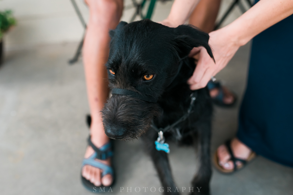 Albuquerque Newborn Photographer