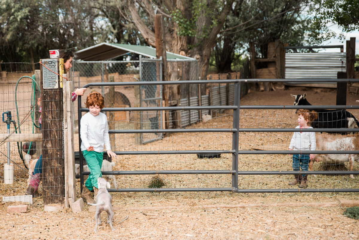 Albuquerque Family Photographer