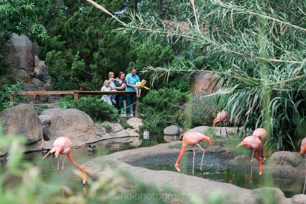 Albuquerque Family Photographer