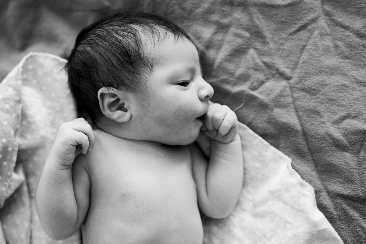 Albuquerque Newborn Photographer