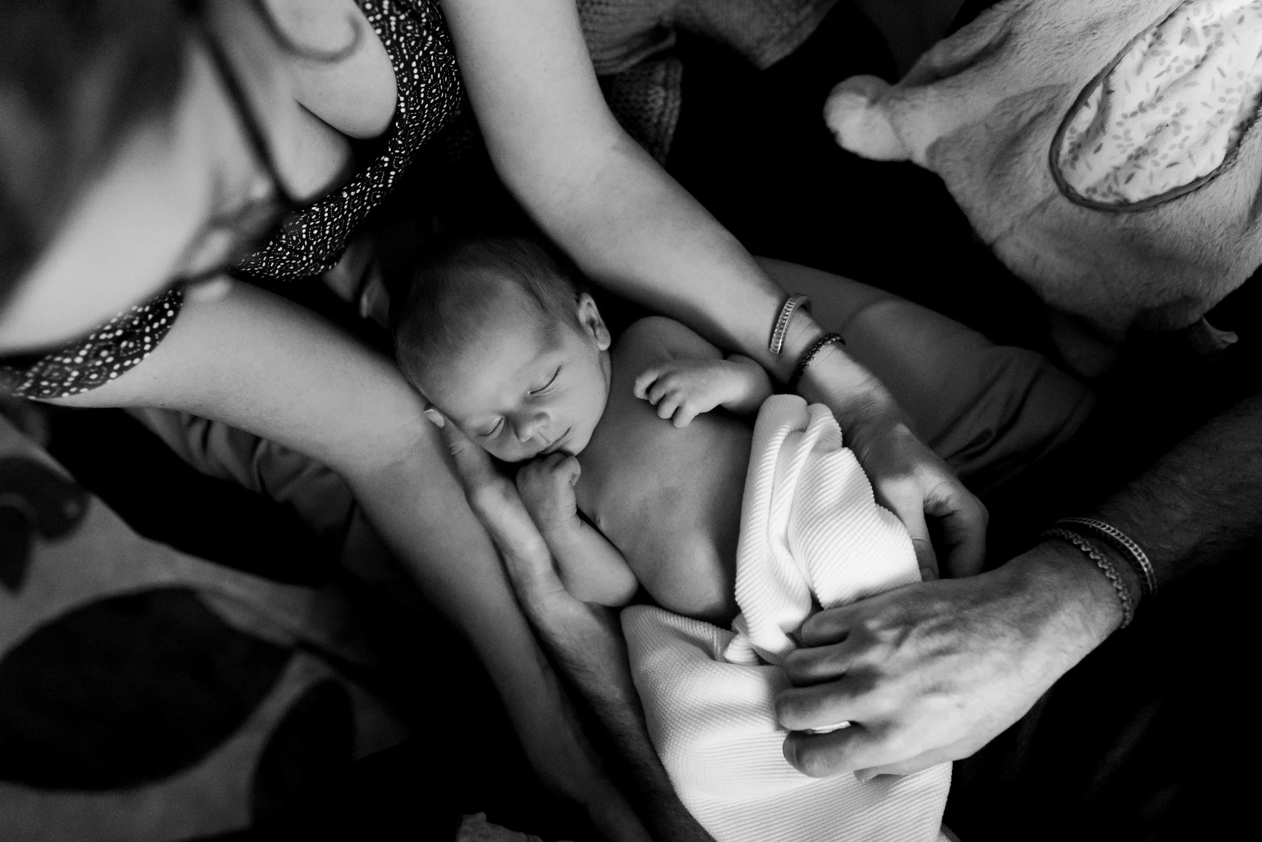 ABQ Newborn Photographer 10-17-17.jpg