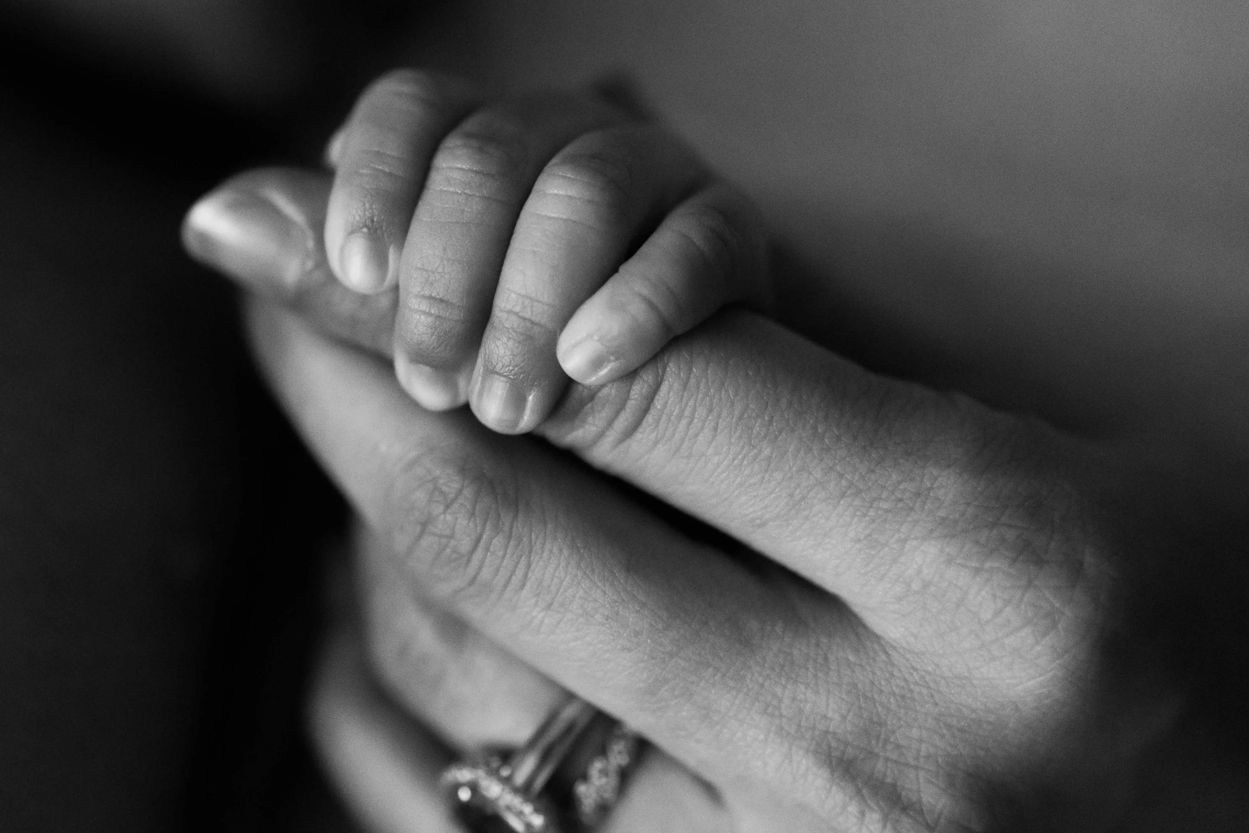 Newborn and Family Photographer Albuquerque-42.jpg