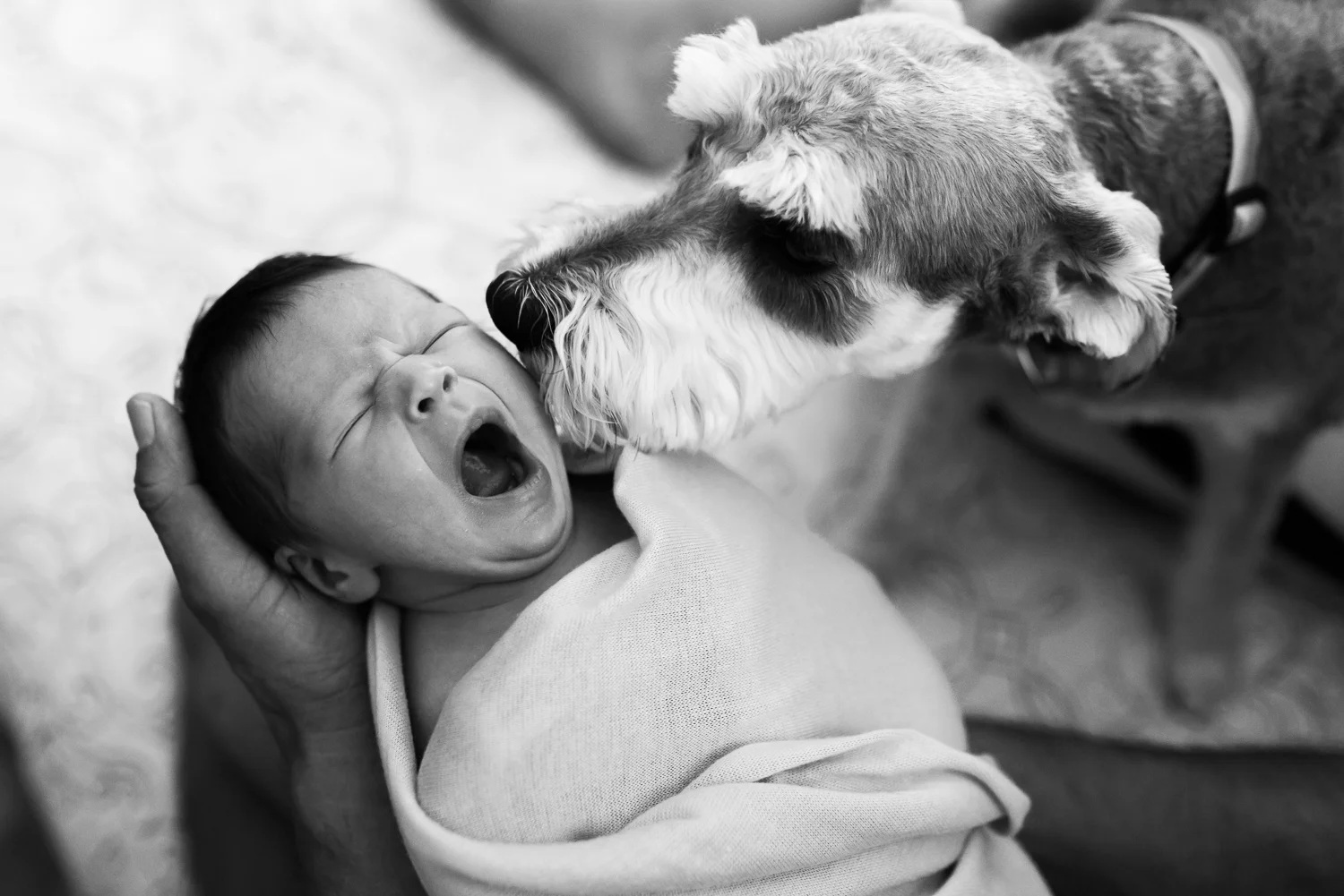 Albuquerque Newborn Photography Lifestyle-33.jpg