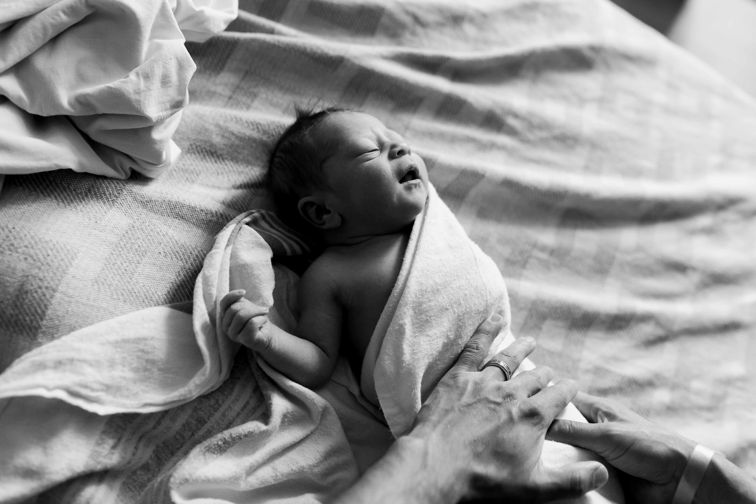 Cary NC Newborn Photographer SMA Photography Fresh 48 Portfolio-10.jpg