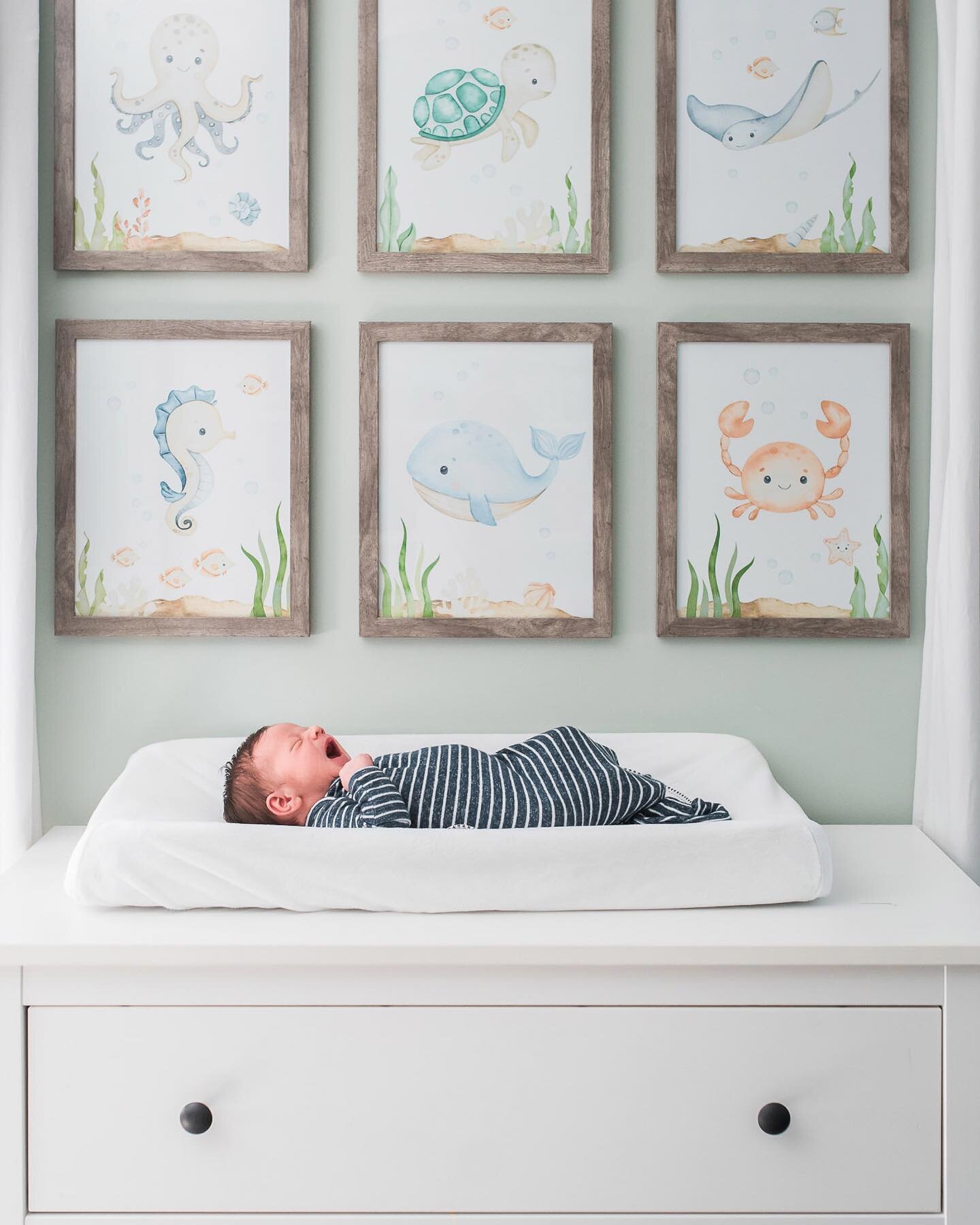 Loved photographing this sweet boy for his family. It&rsquo;s truly a joy to capture real moments at home for my clients. There are always the must haves, but the in betweens are where my heart lies.