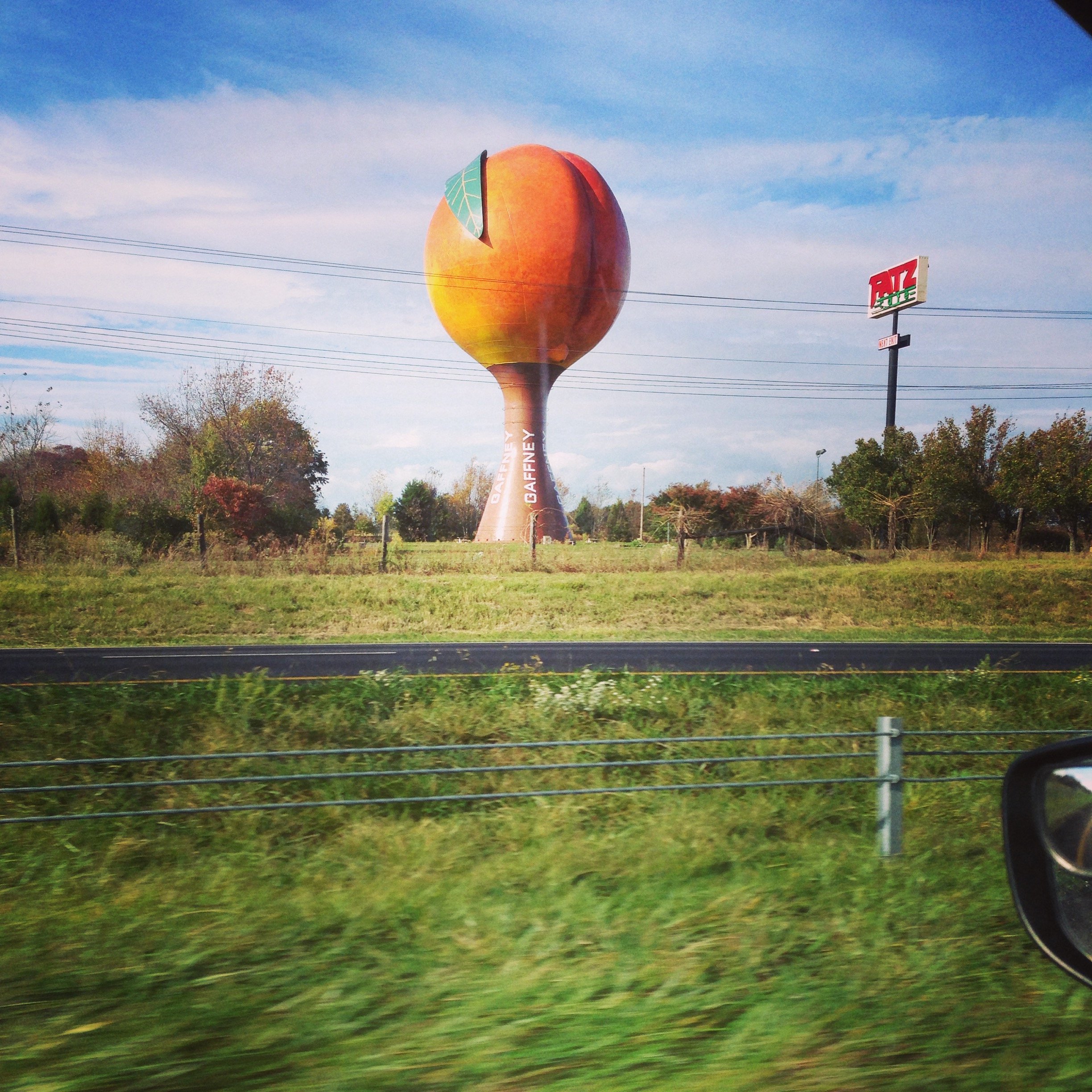 A South Carolina peach. Is that a thing?