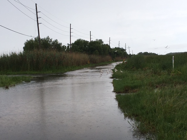The road, er, gulf . . .