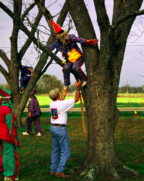 A Tee Mamou Mardi Gras in a tree | Photo: Carolyn Ware