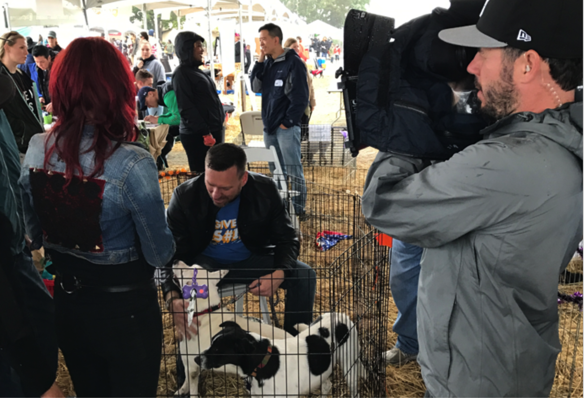 This project got me on TV playing with this adorable dog. Awesome!