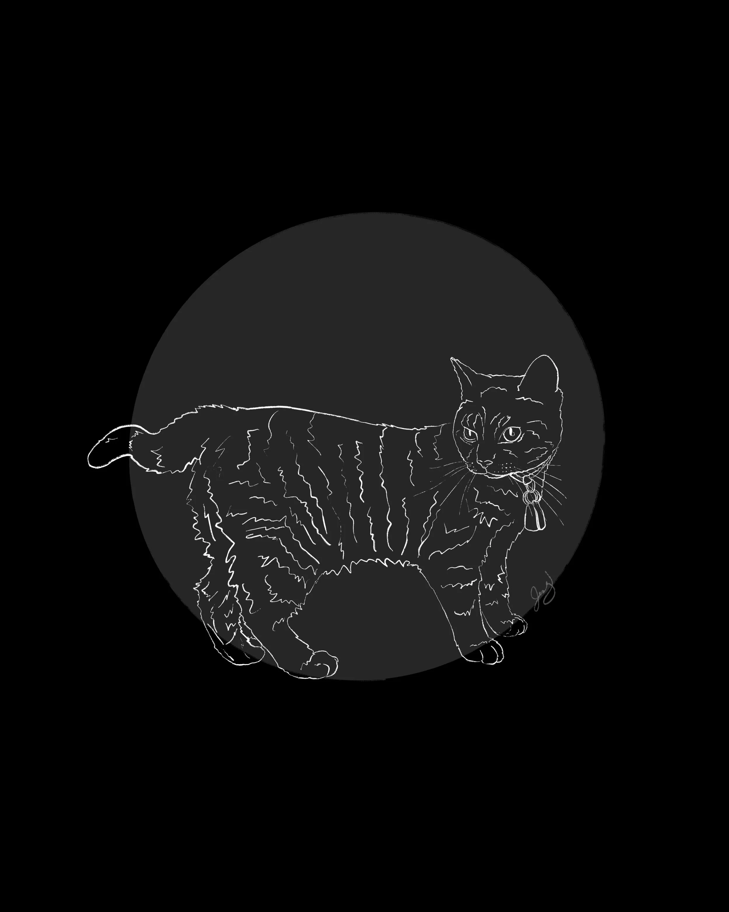 Chiken the Cat (Spooky)