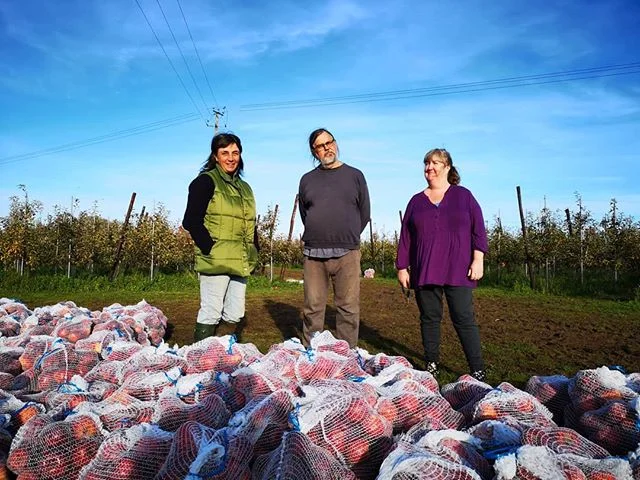 Thanks to @feedbackorg for gleaming the last of our braeburn crop. This fruit will go to people who need it though the @thefelixproject - nice one guys! 🤘🤘🤘🤘