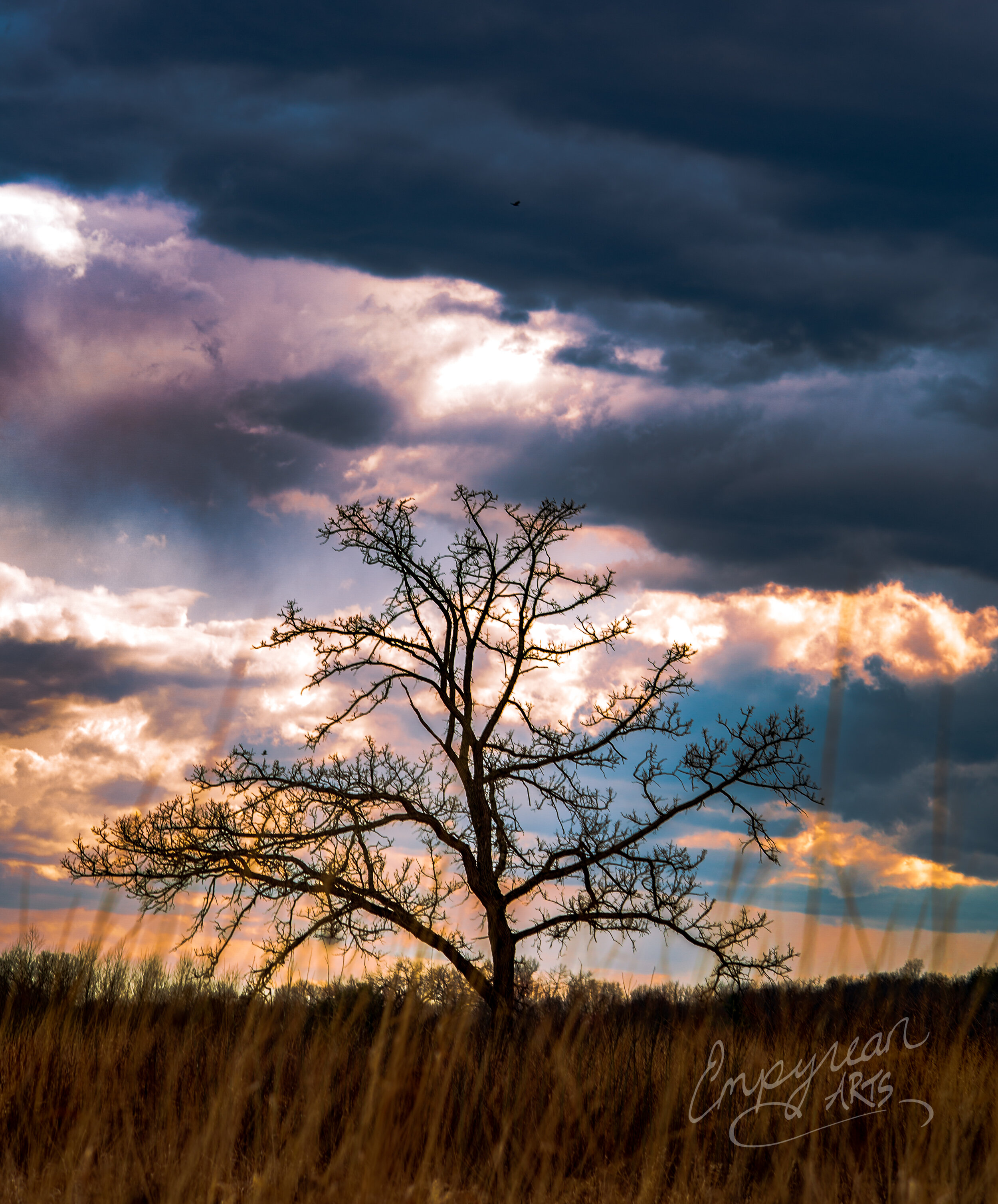 CopyrightEmpyrean Arts LLC-41.jpg