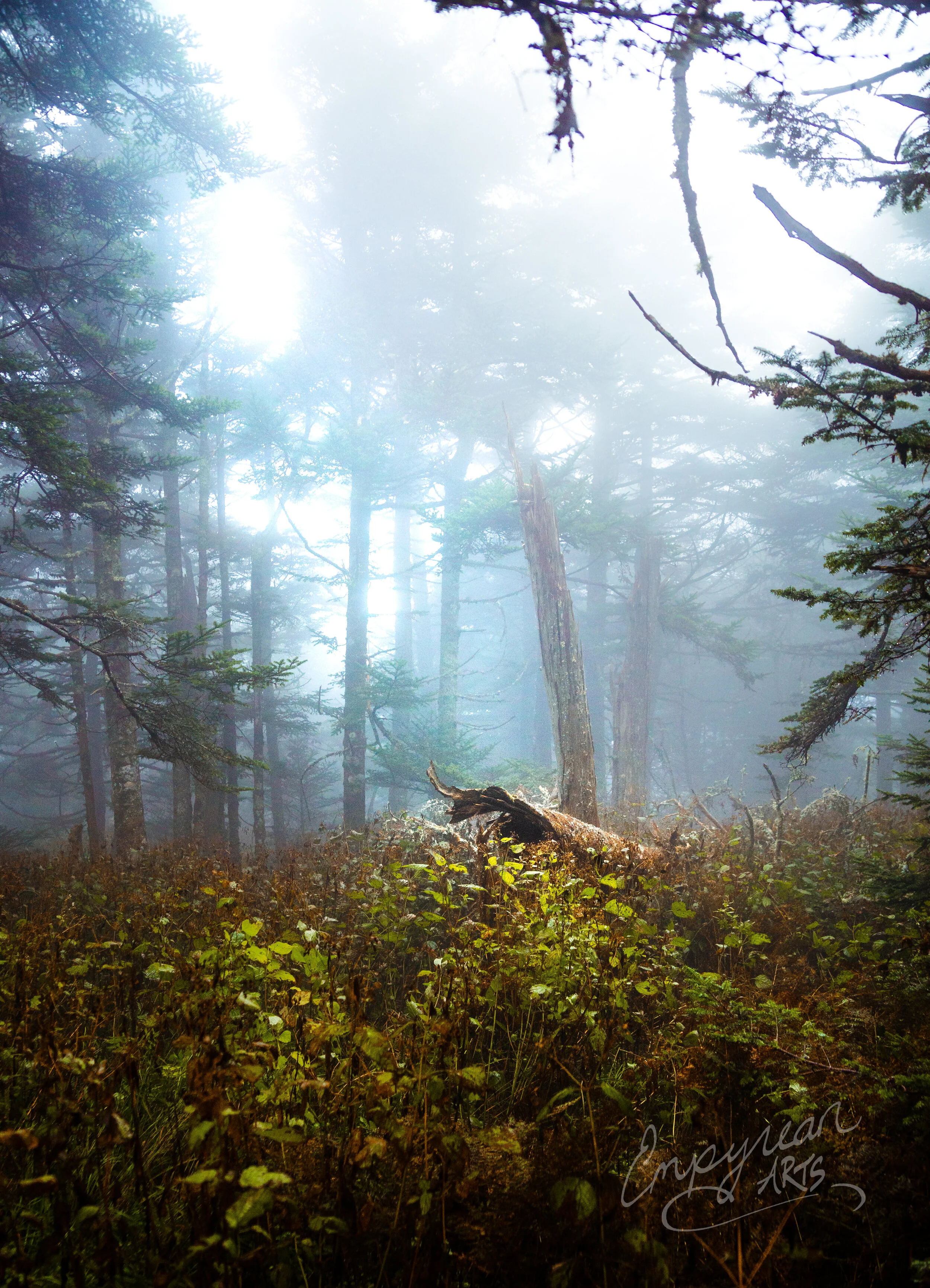 Copyright empyreanArtsLLC-5.jpg