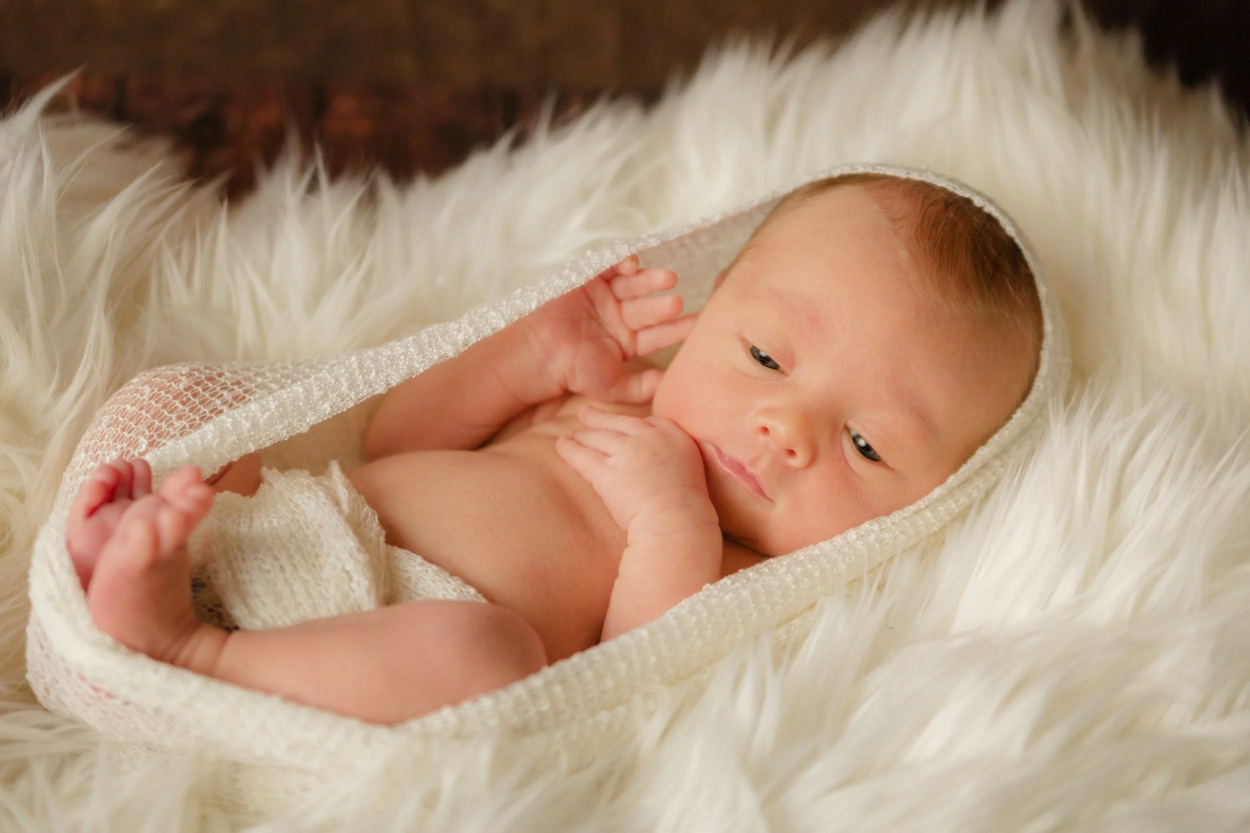 Haven Newborn-32.jpg