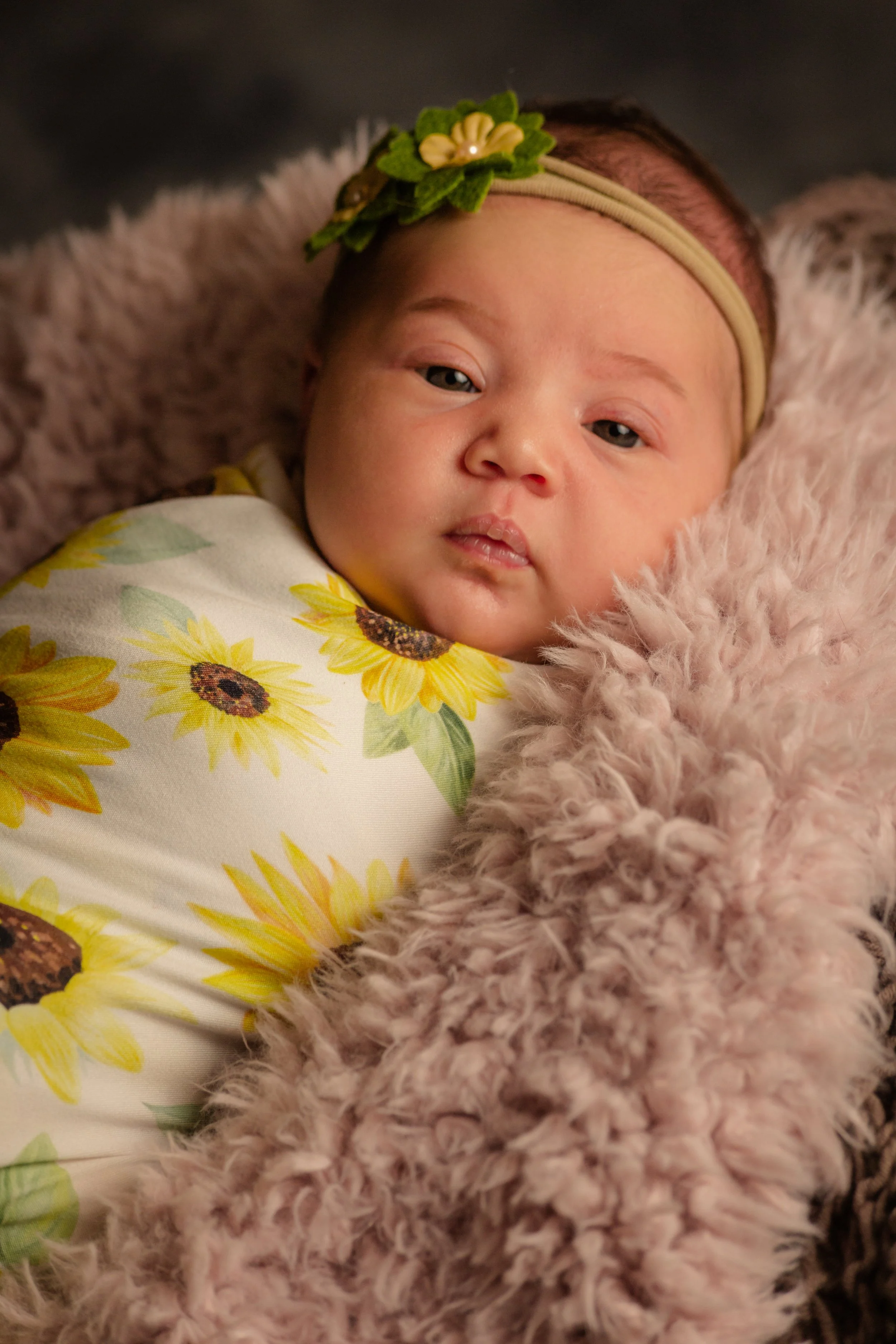 Paisley Teasers-6.jpg