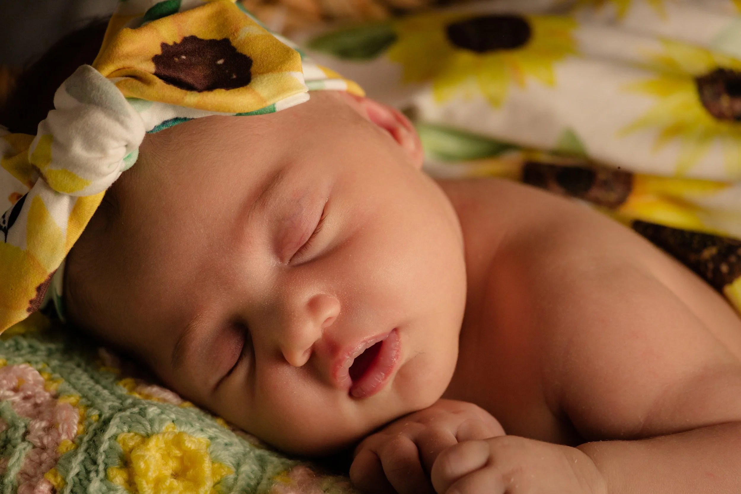 Paisley Teasers-10.jpg