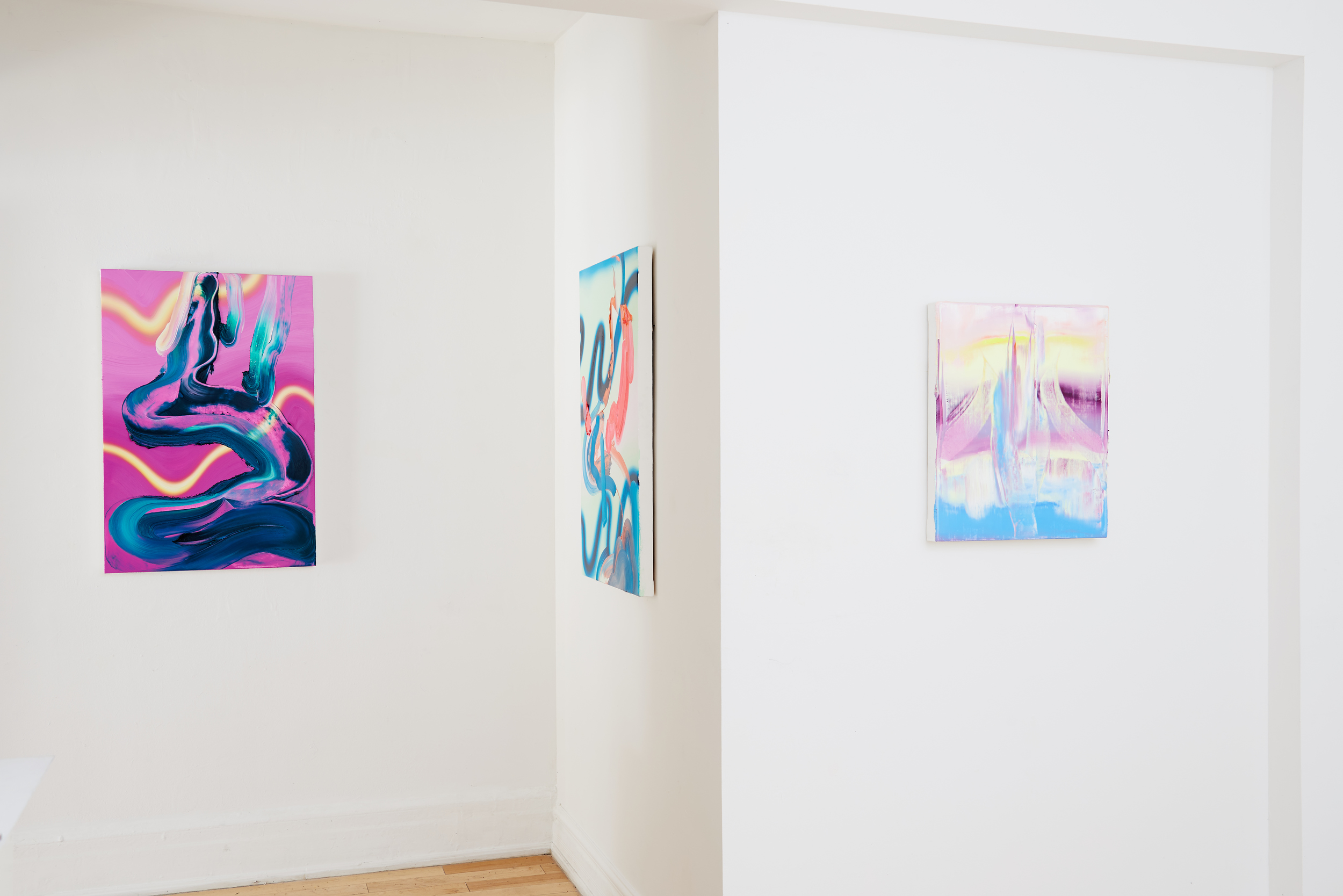 Installation View, Project Gallery, Toronto, Photo Credit: Spencer Robertson