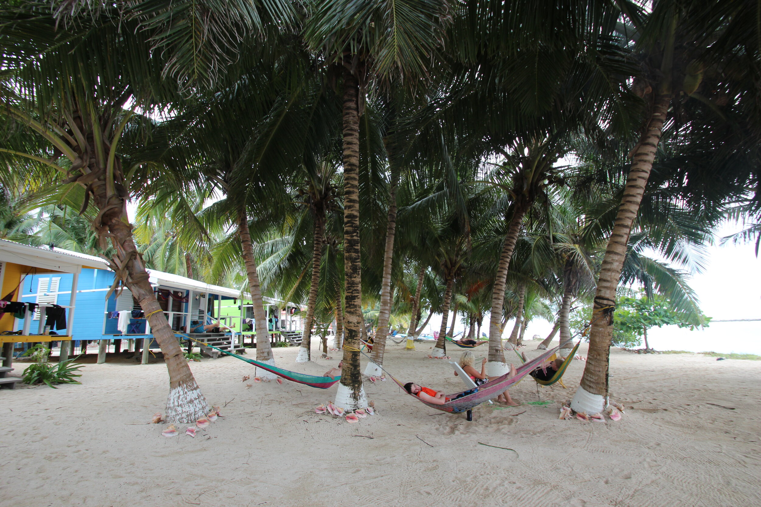 TC - Lamar - hammocks - Brianne Fischer- 2012.JPG