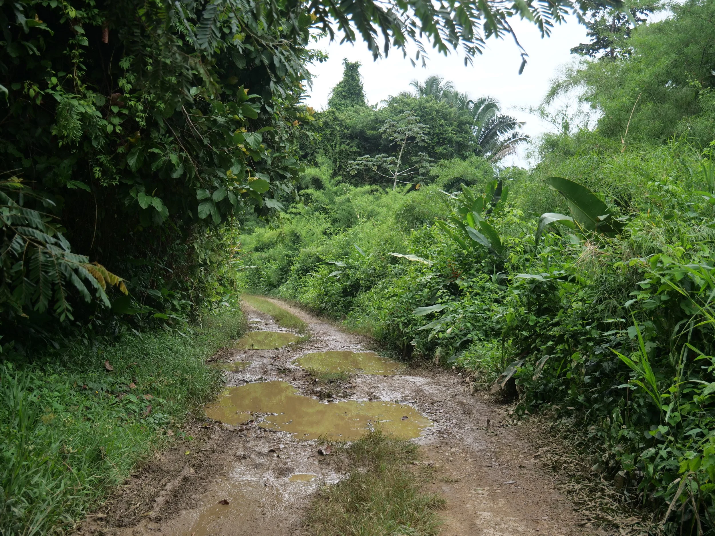 P1084663.JPG