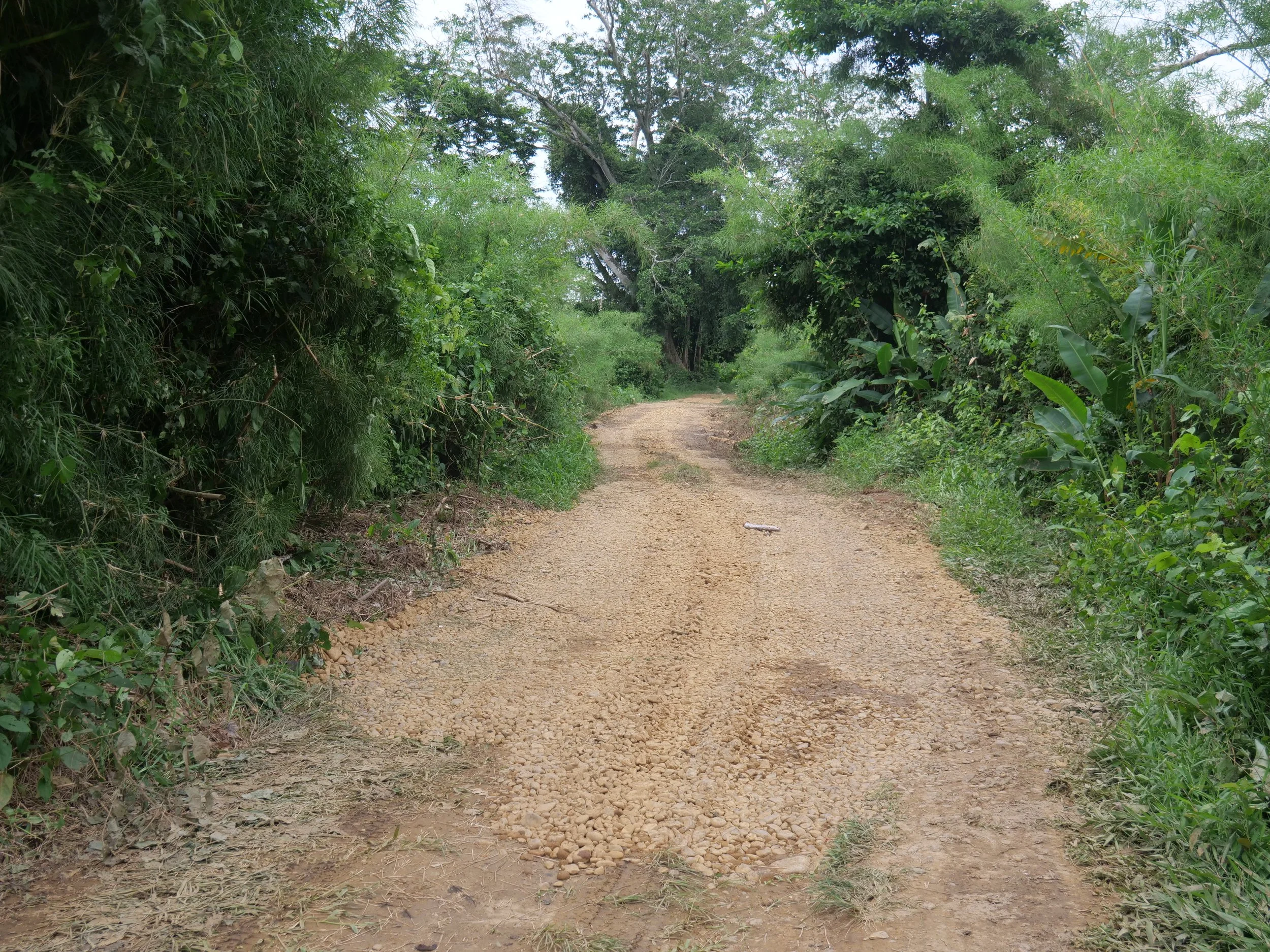 P1084668.JPG