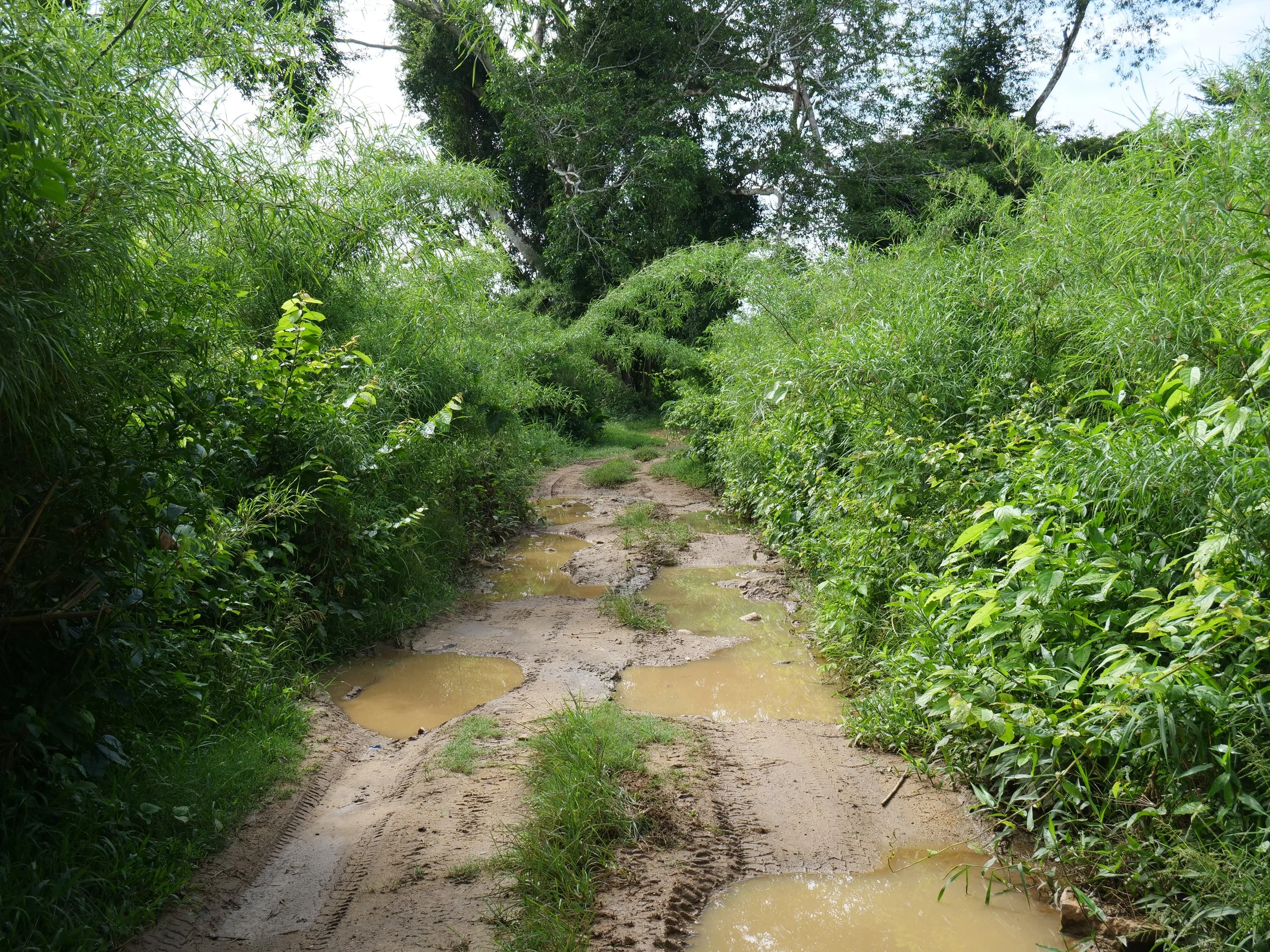 P1084626.JPG