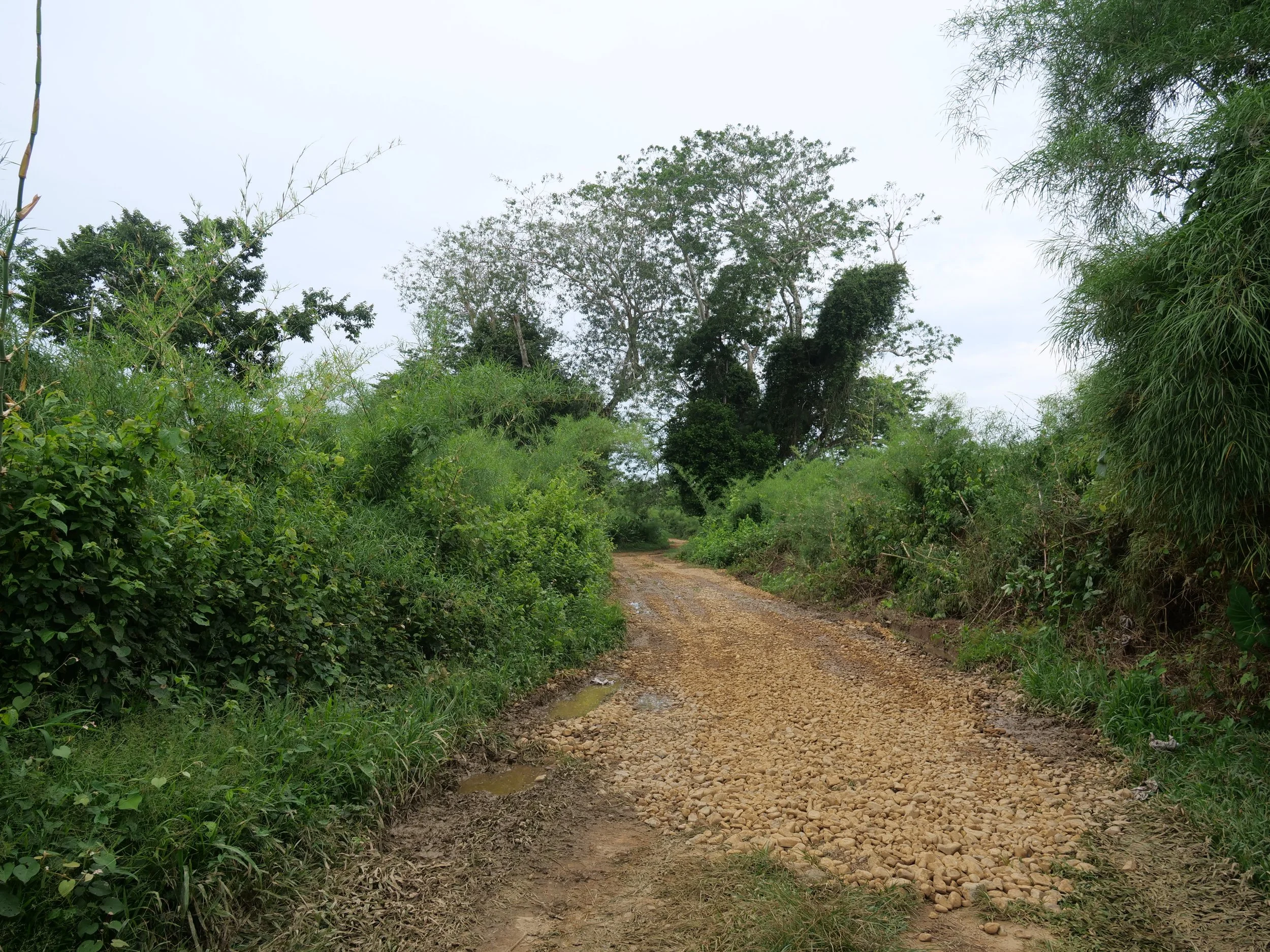 P1084670.JPG