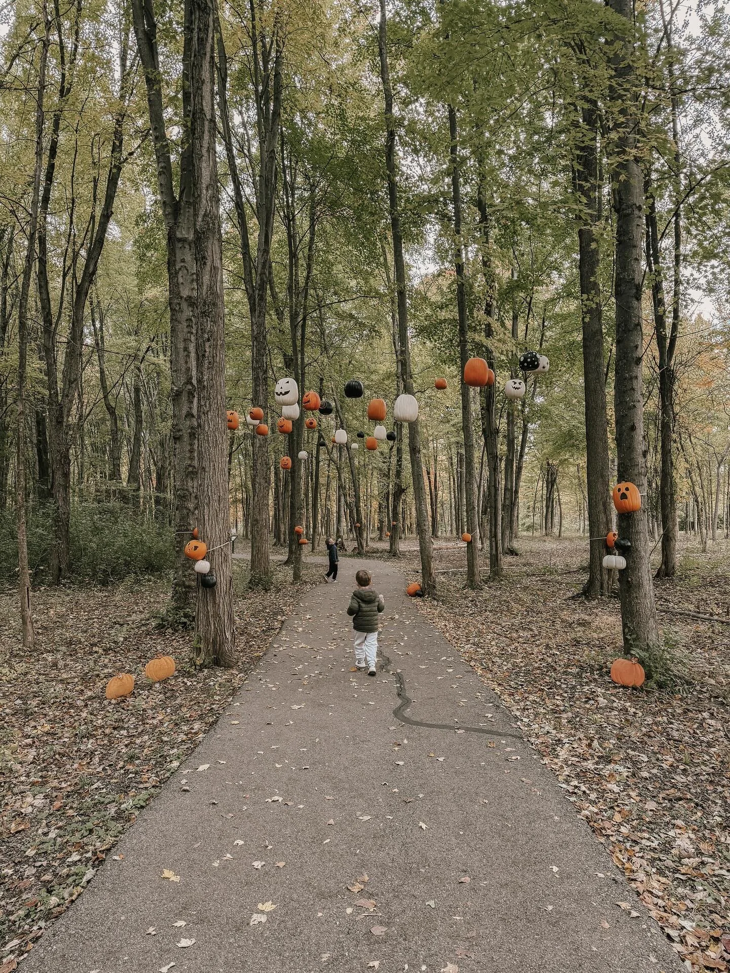 Fall festivities 🍂