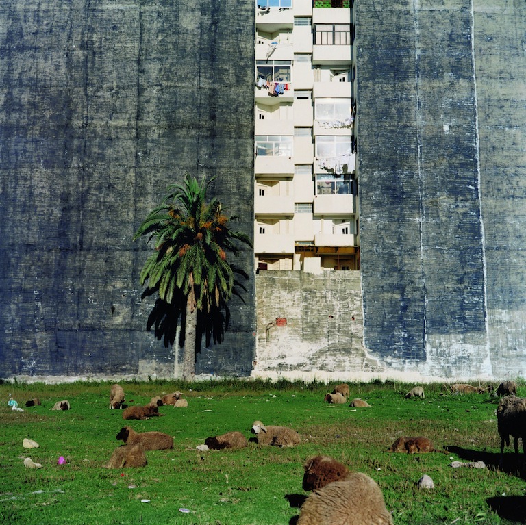 Barrada-Vacant Lot, Tanger 2001, 60x60cm, p45.jpg