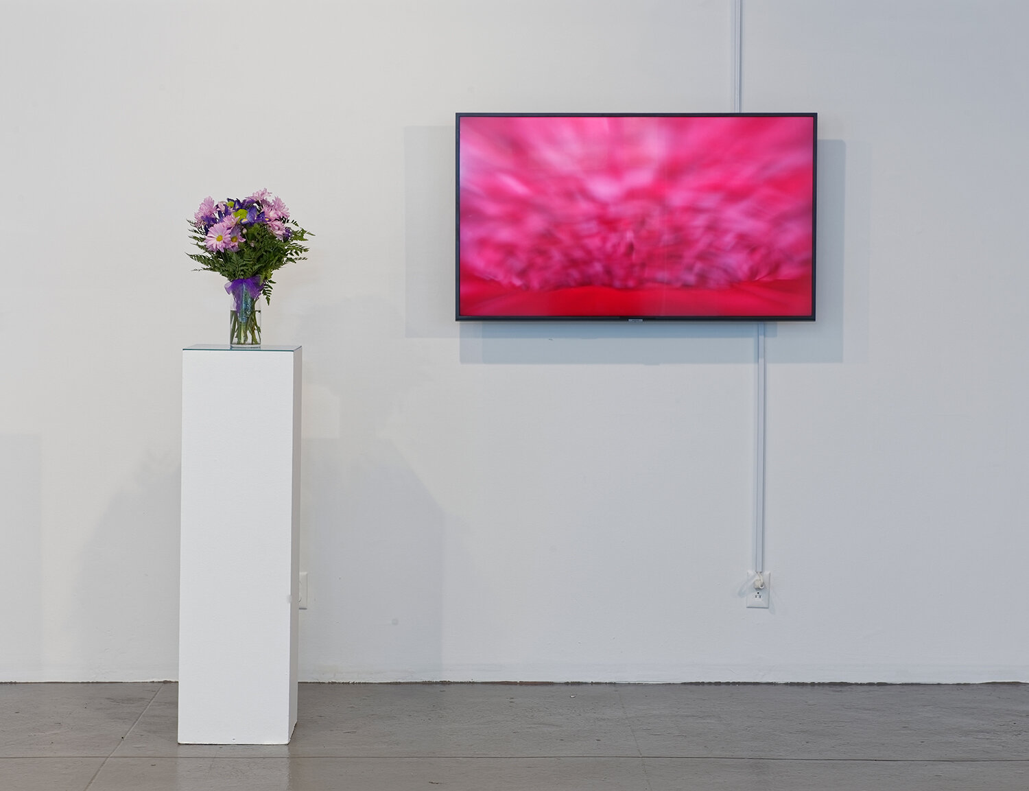  Installation view of  Soft and Wet . Work: Caroline Key,  Khôra , 2019. Photograph by Matt Vicari 