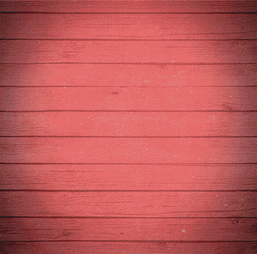 Pom_Video_LO.gif