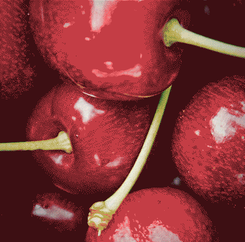 Cherry_Video_LO.gif