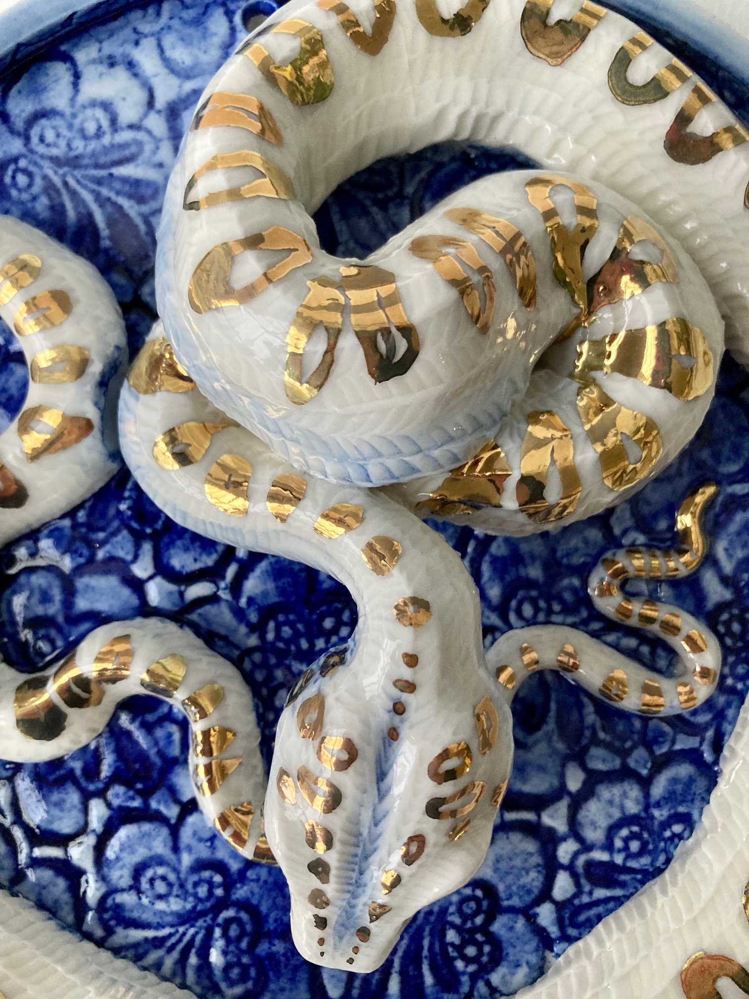snake5.jpg