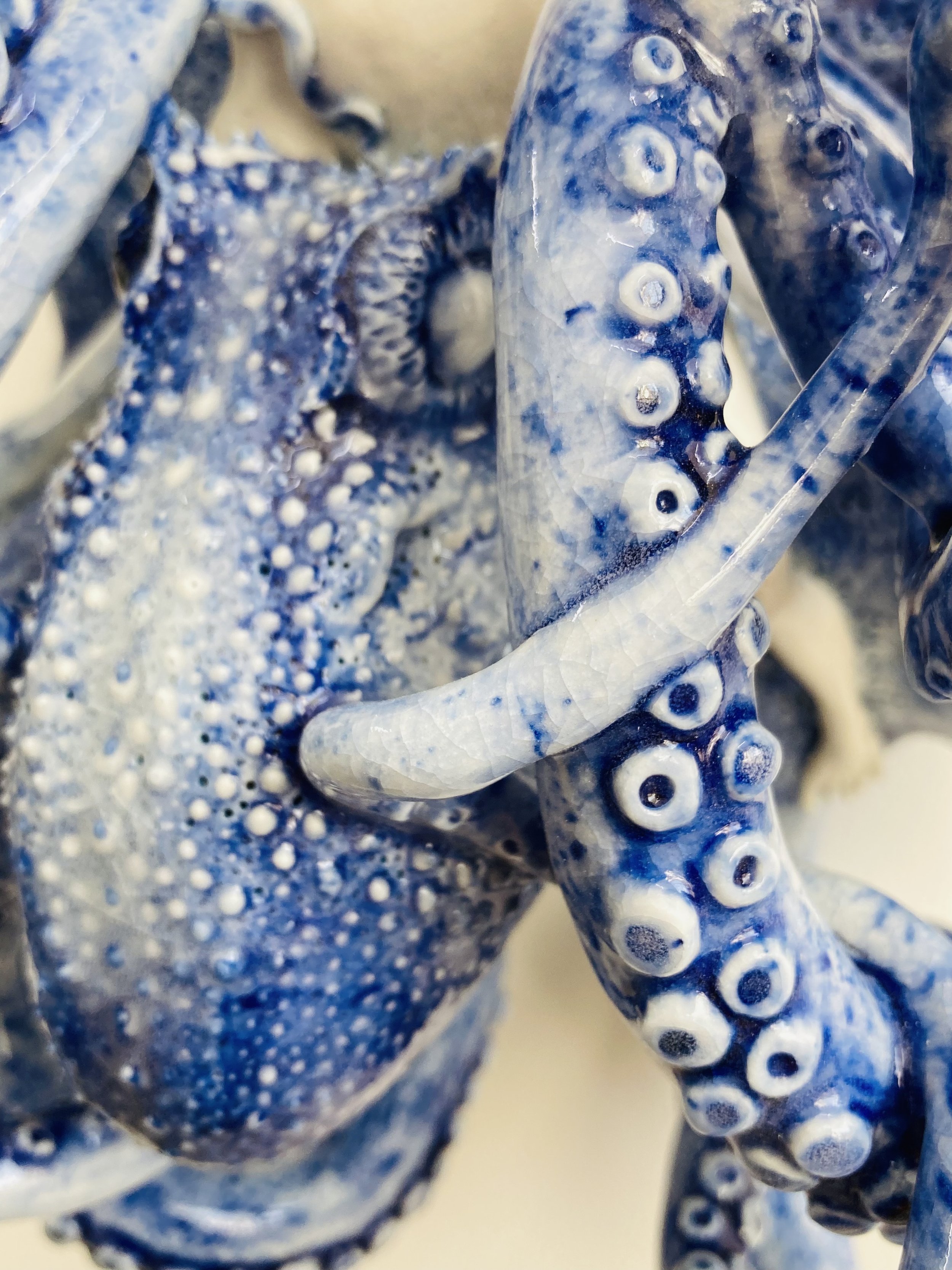 octopus 2.jpg