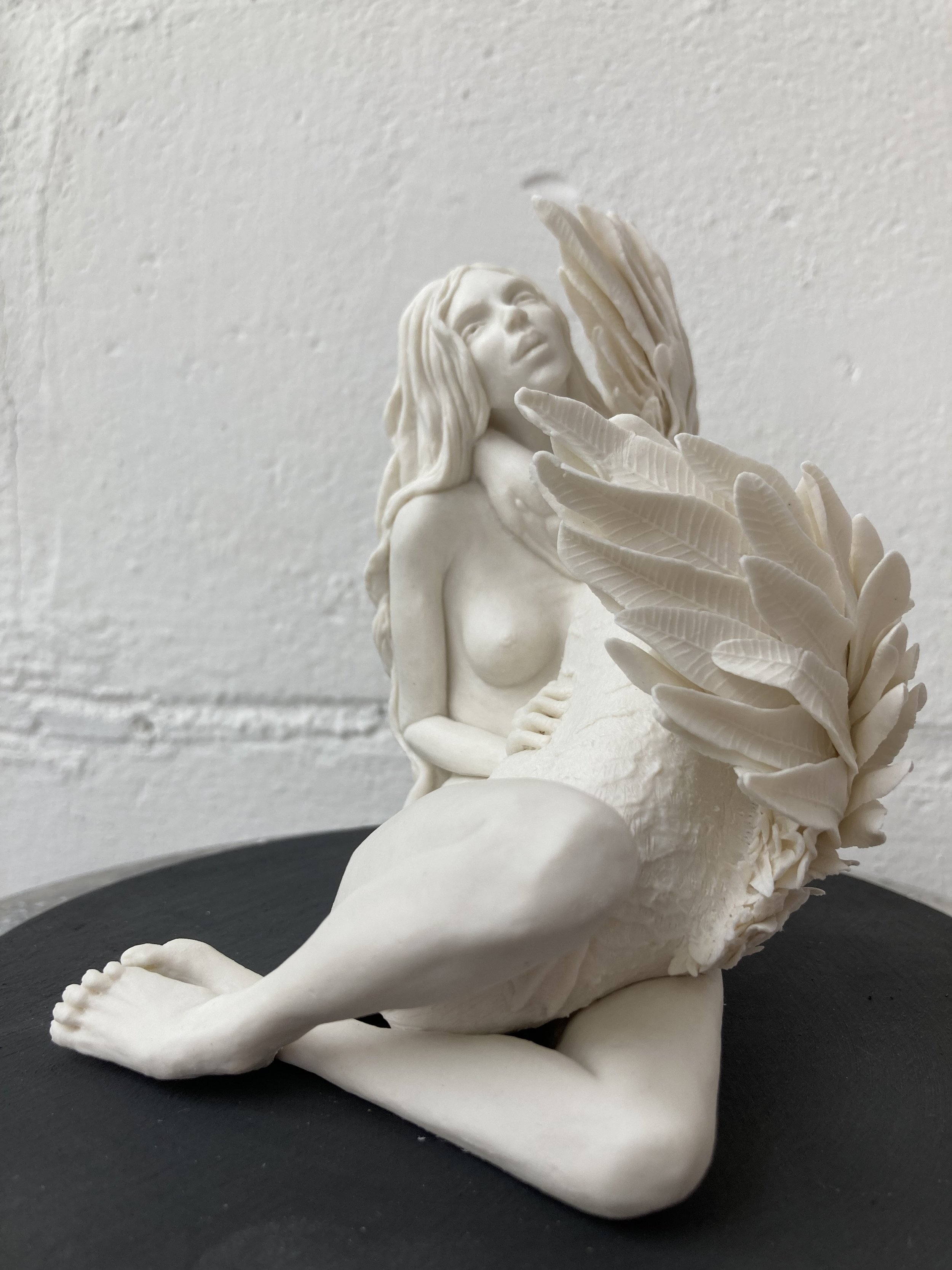 Leda3.4.jpg