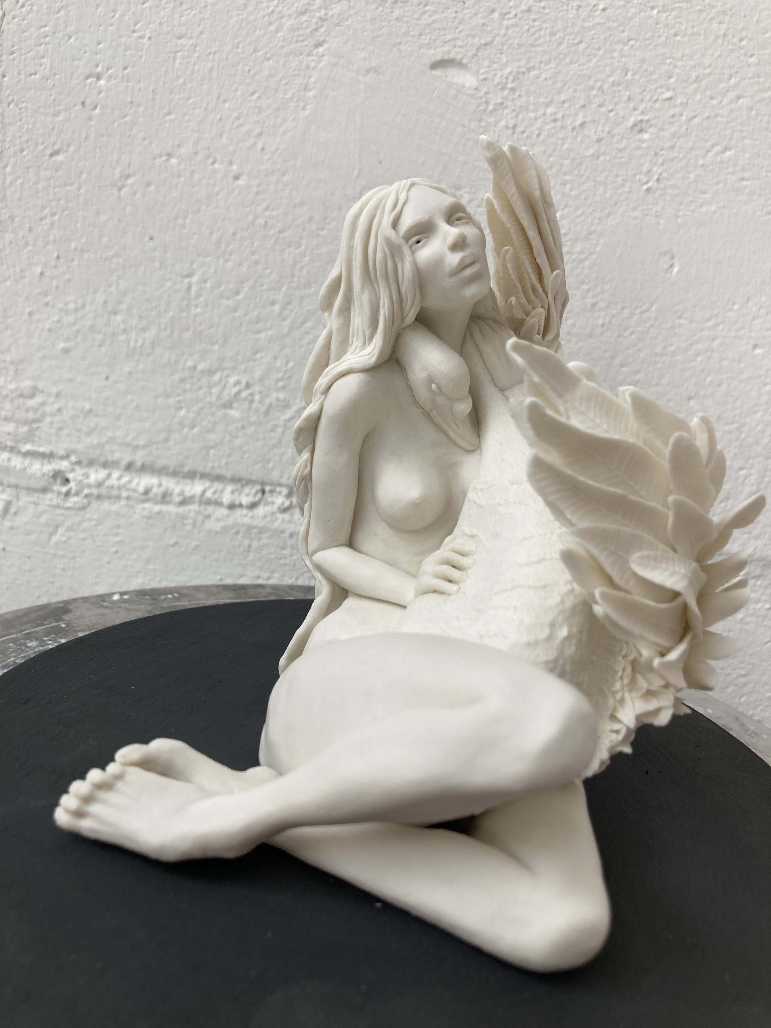 Leda3.9.jpg