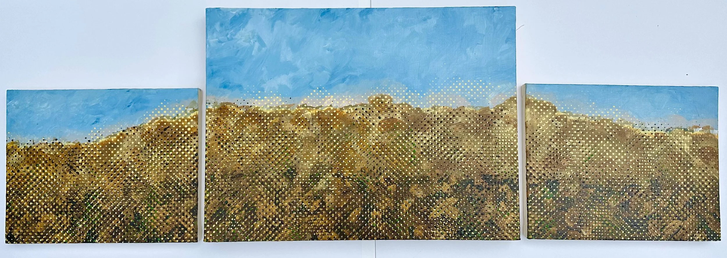 Dry Rain, 2025 | 18" x 56"
