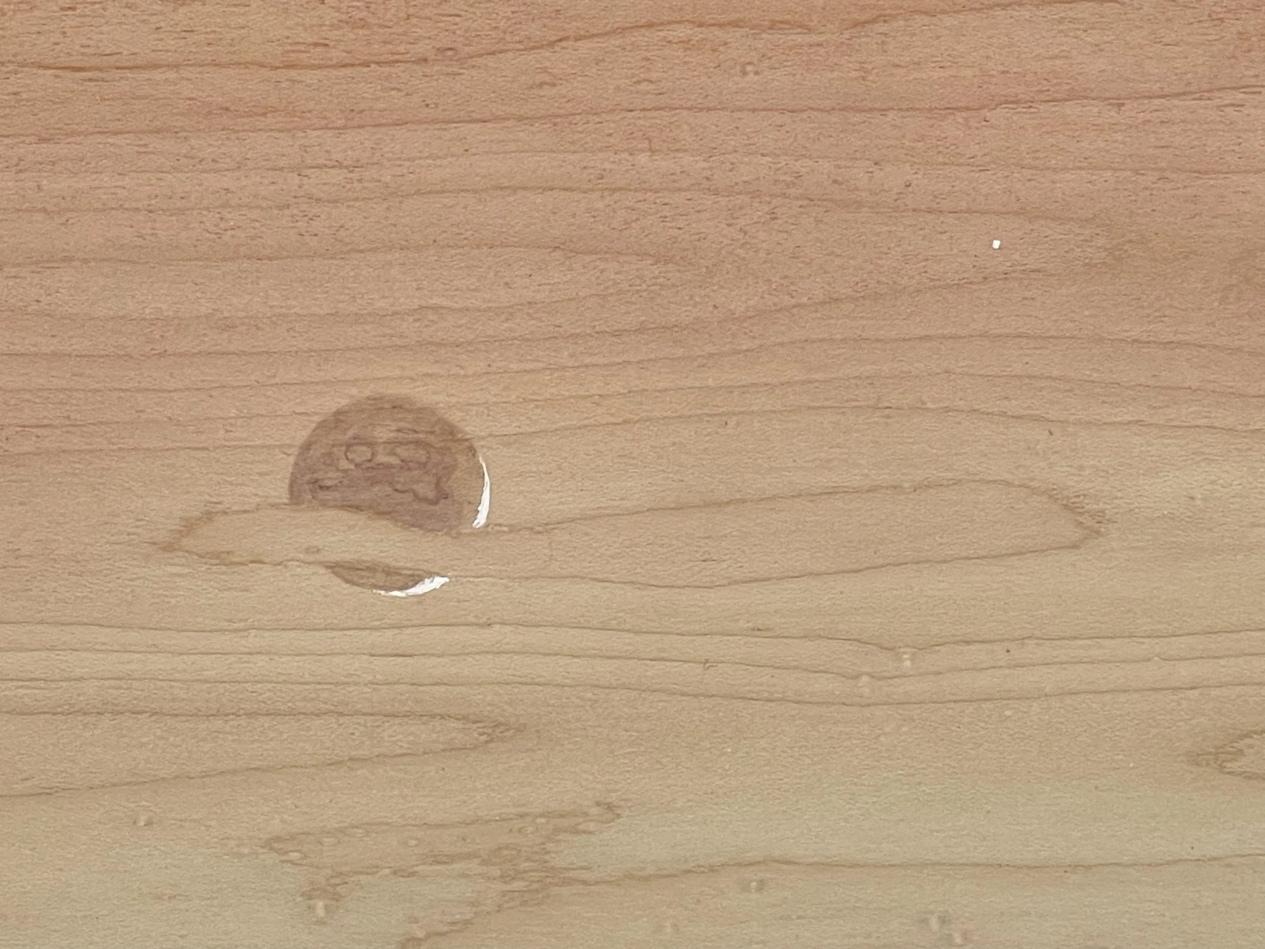 STAINTING 159 Moon Detail.jpg