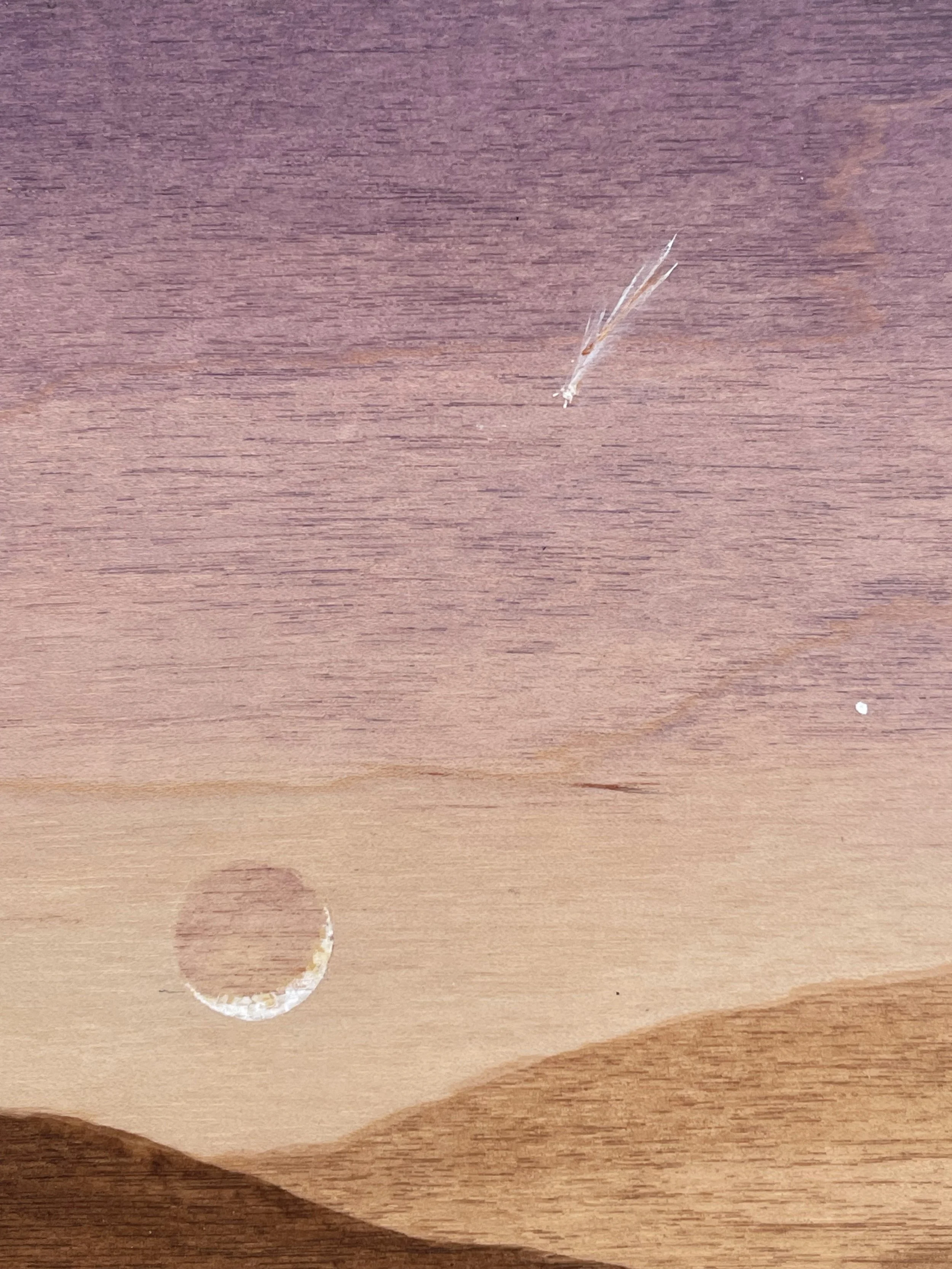 STAINTING 168 Detail.jpg