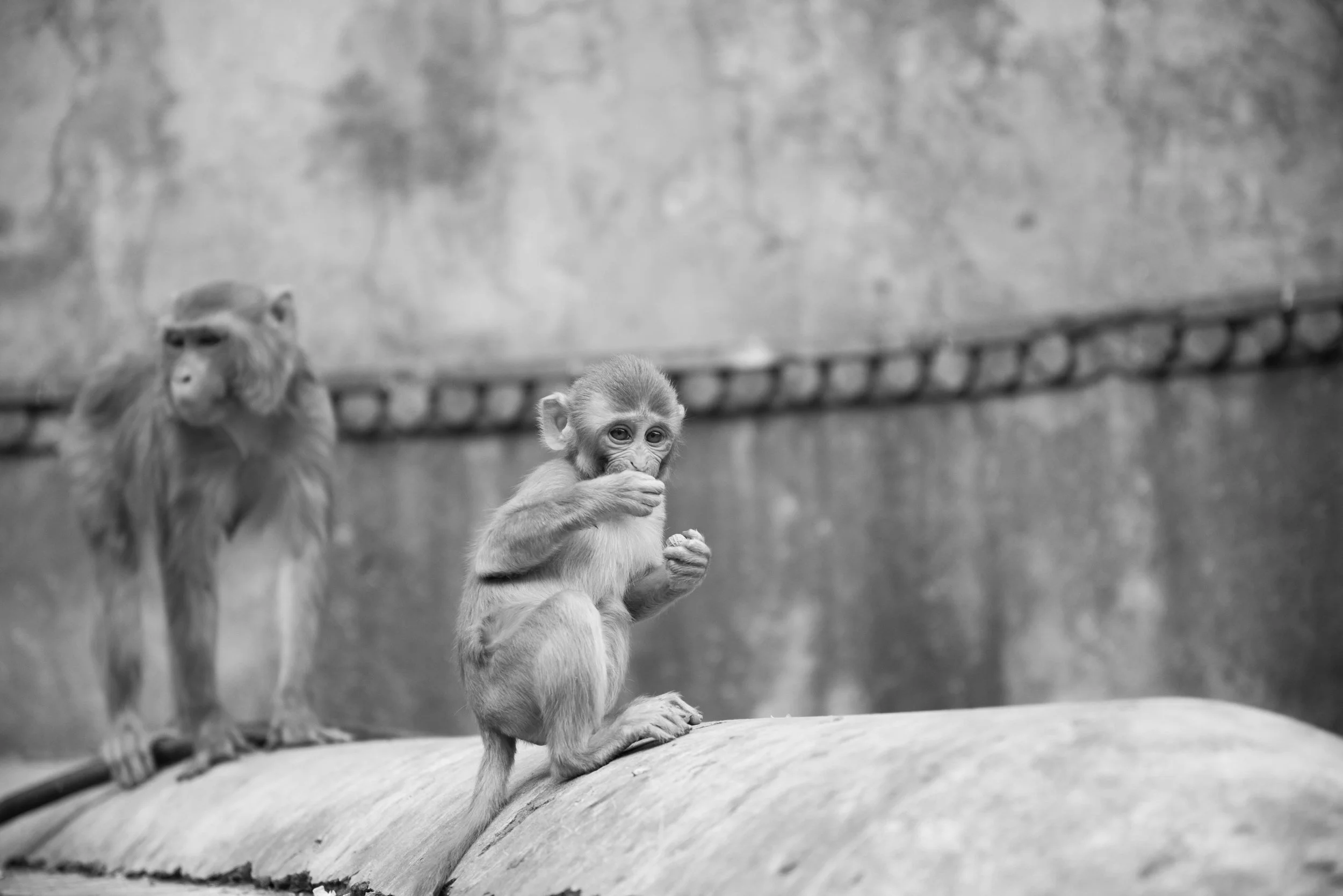 India - Final-258.jpg